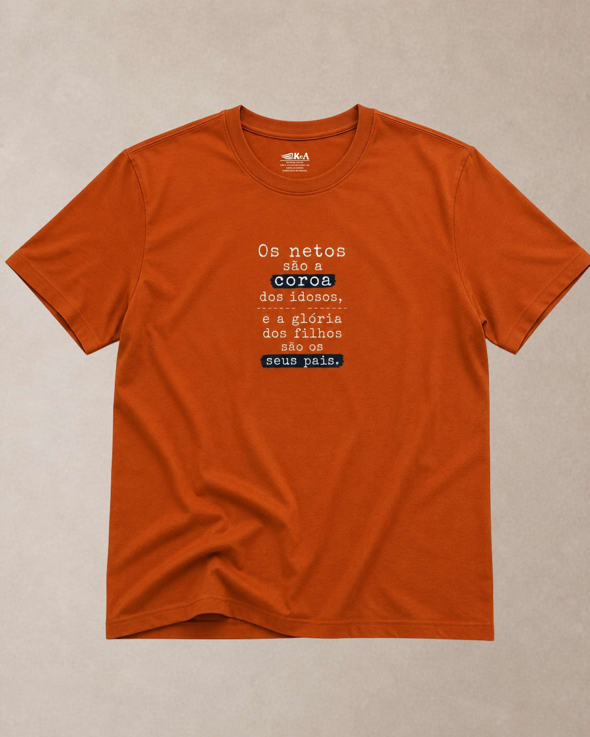 camiseta masculina proverbios 17-6 ferrugem 003